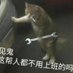 ljyljy