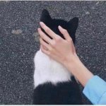 お宅っぽい